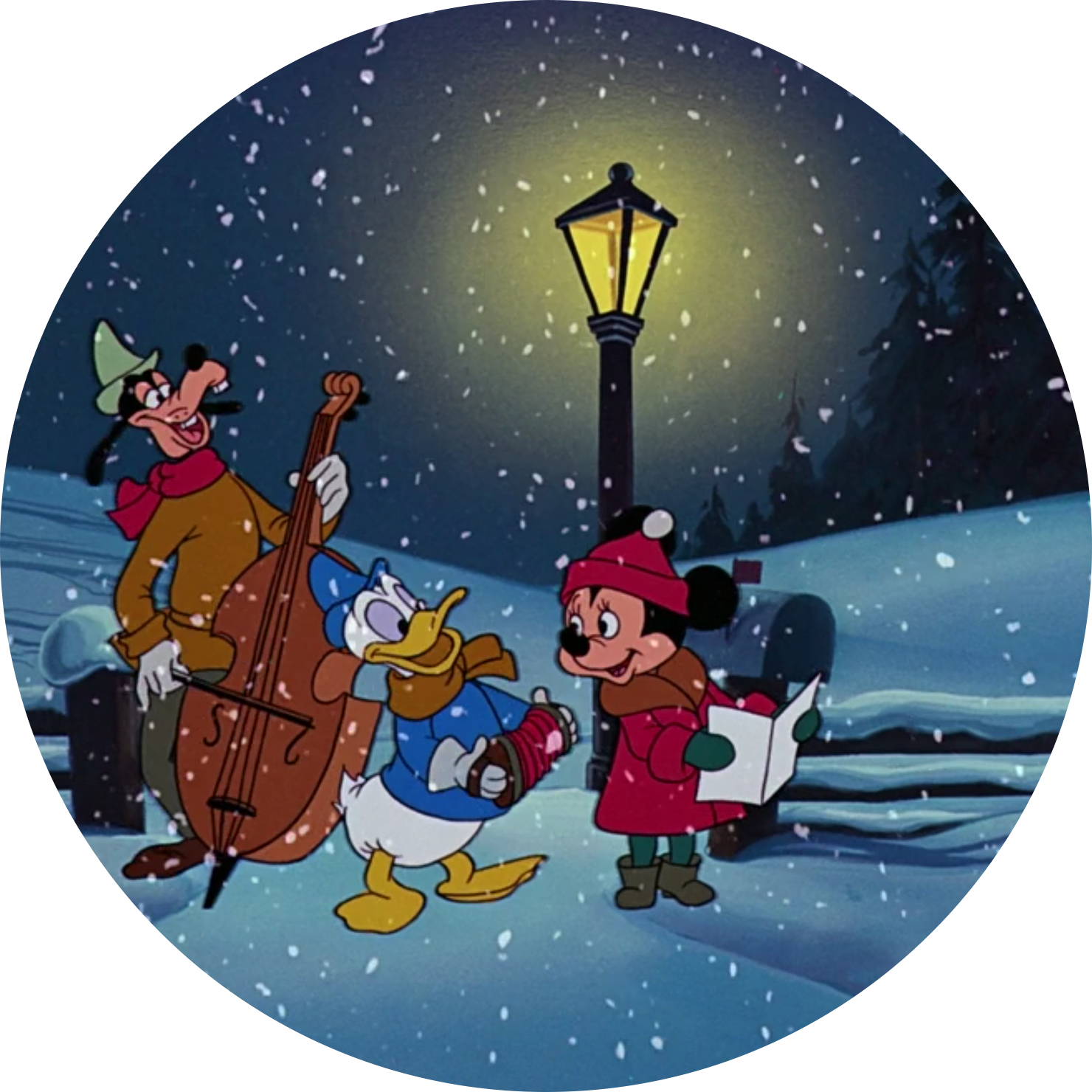윈터스틸라 프로필