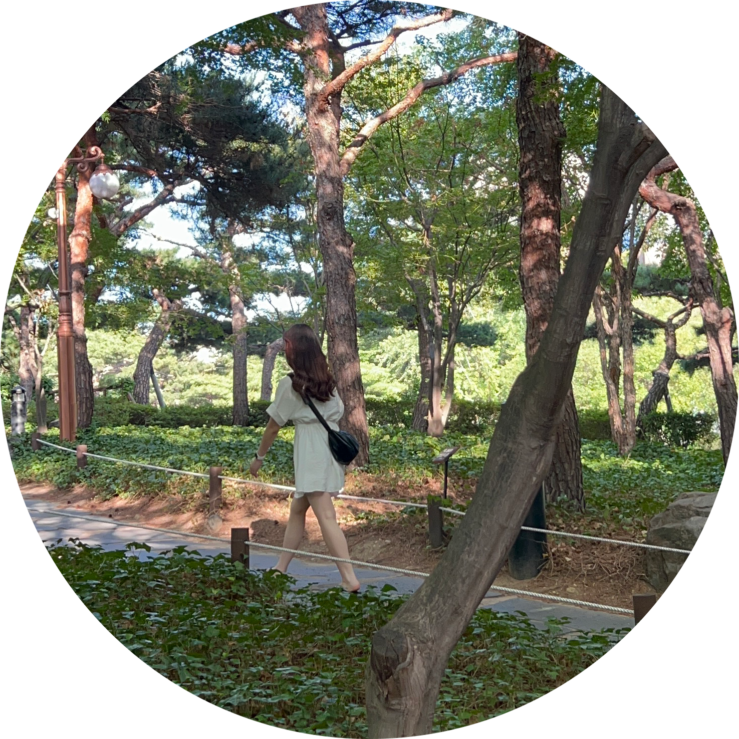면발 프로필