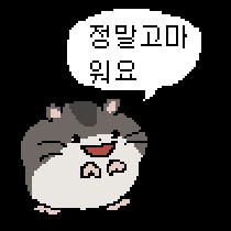 신바다 프로필