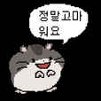 신바다