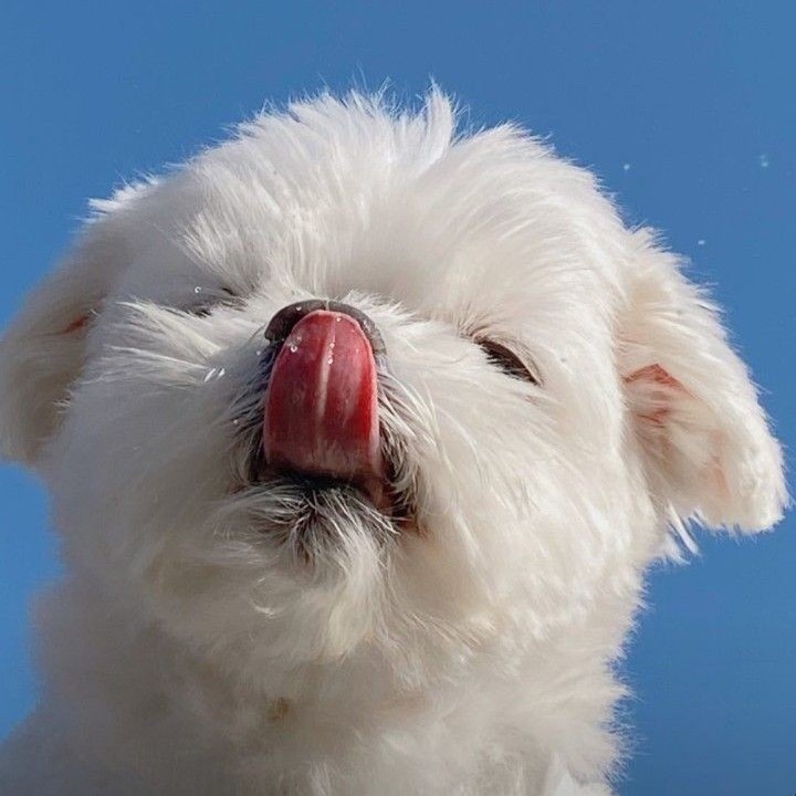 리뷰어 프로필