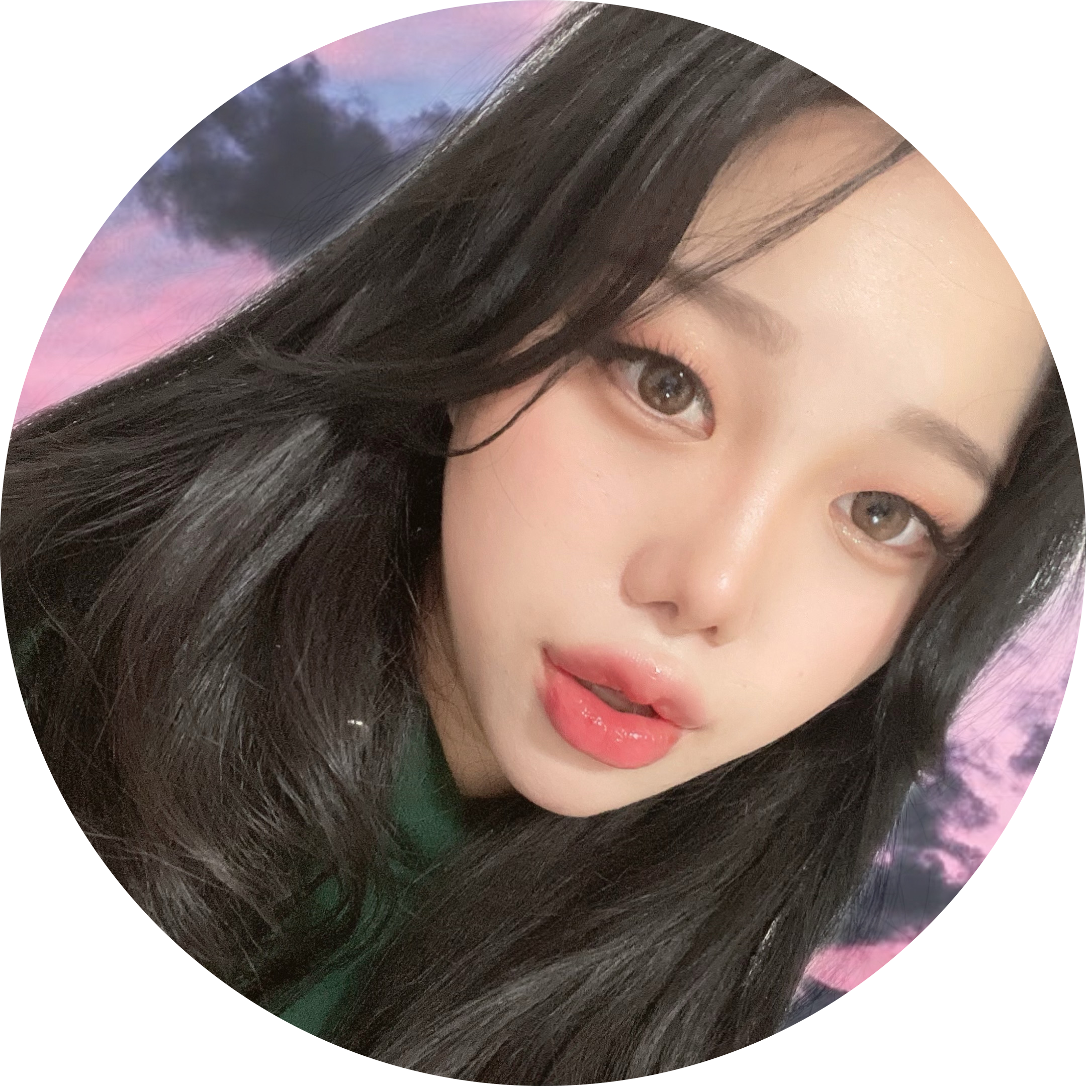 샐리꾸 프로필