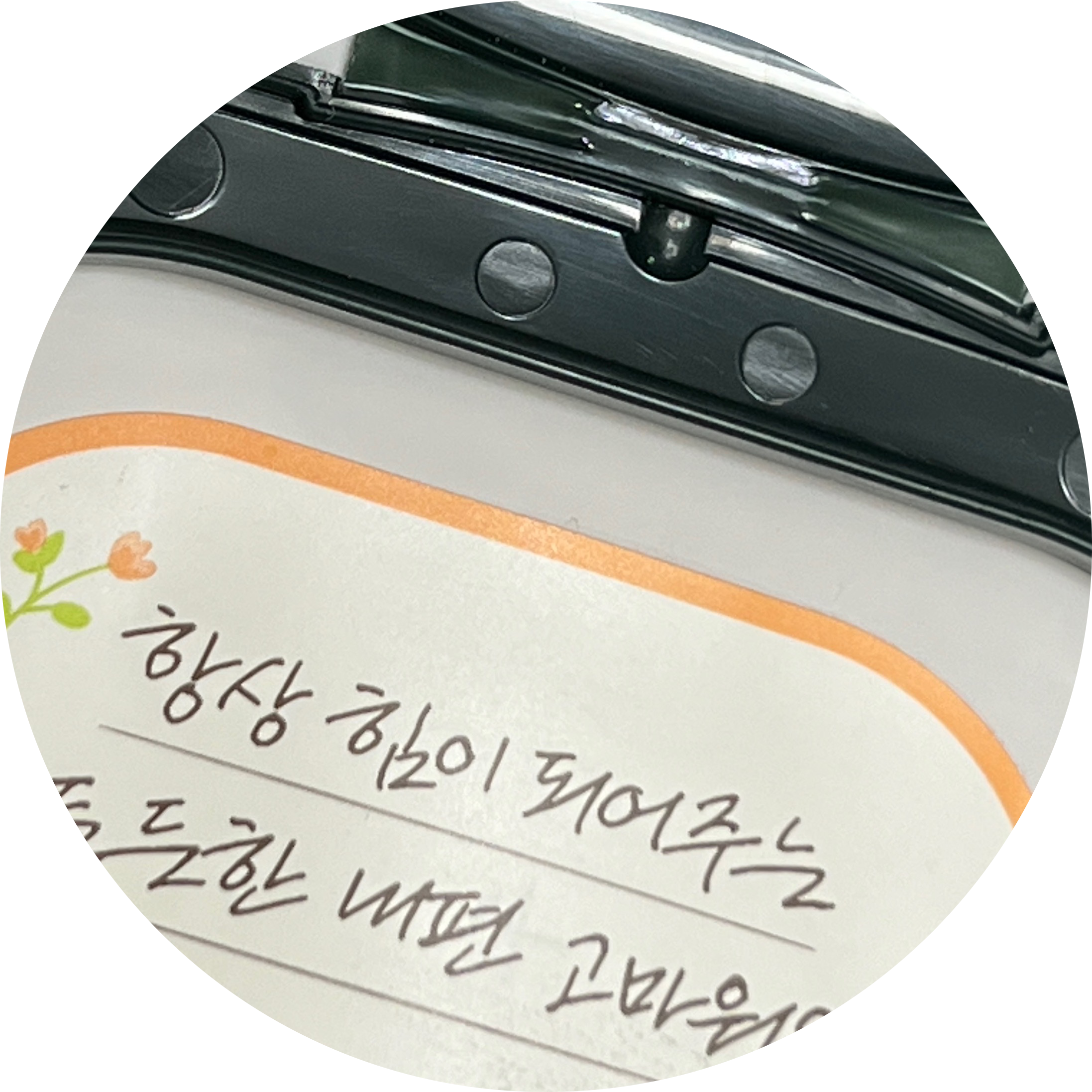 글로리#bGRqC4 프로필