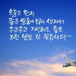 리뷰어 프로필
