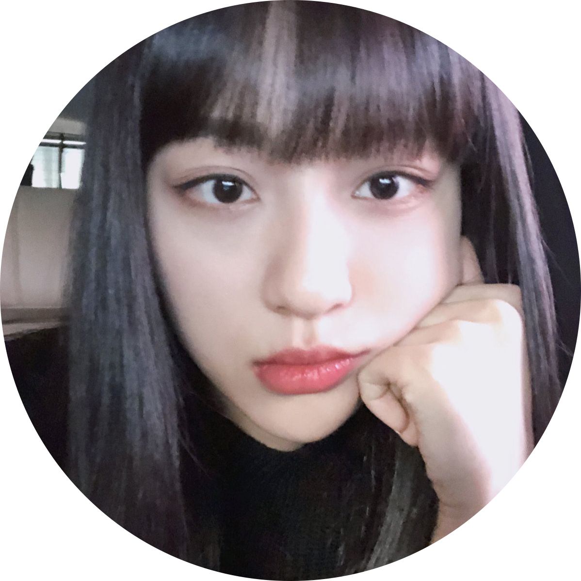 이려 프로필