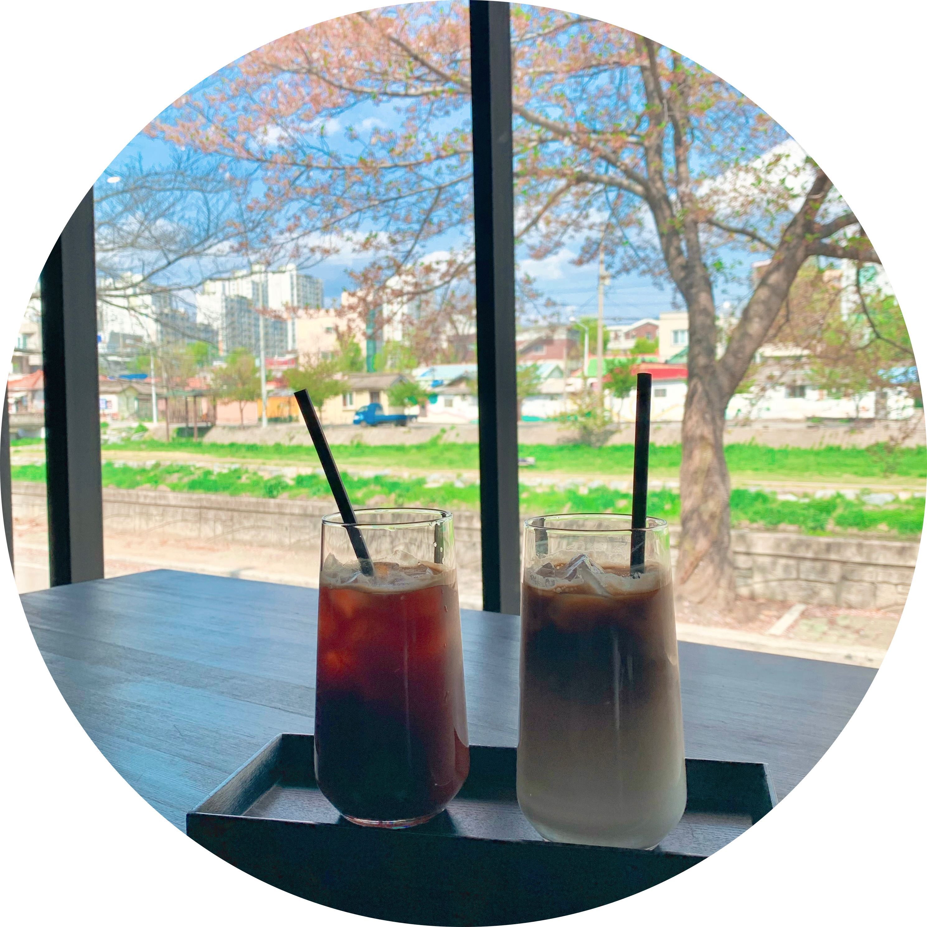 귀요미몬 프로필