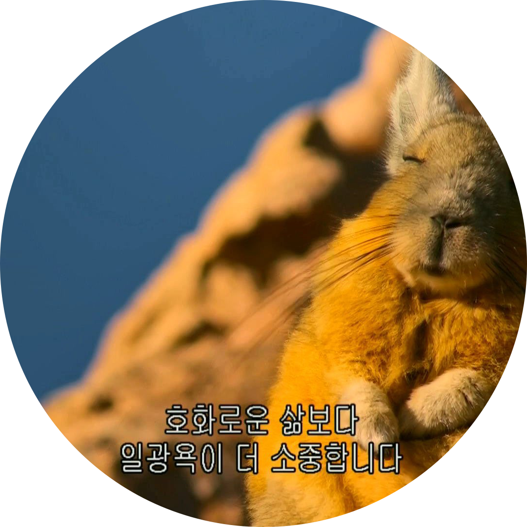 리뷰어 프로필