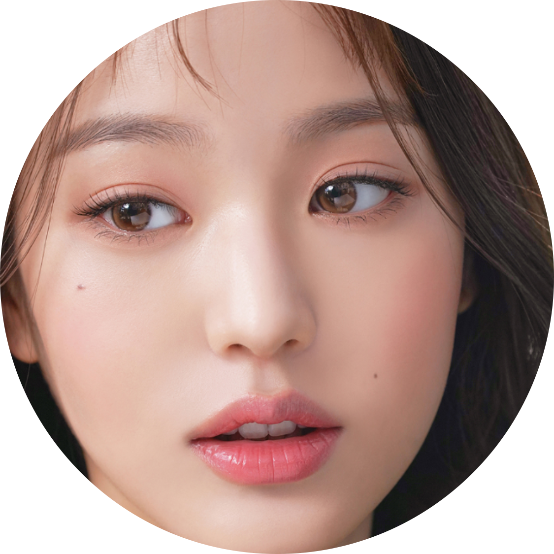 뿌웅입니다 프로필