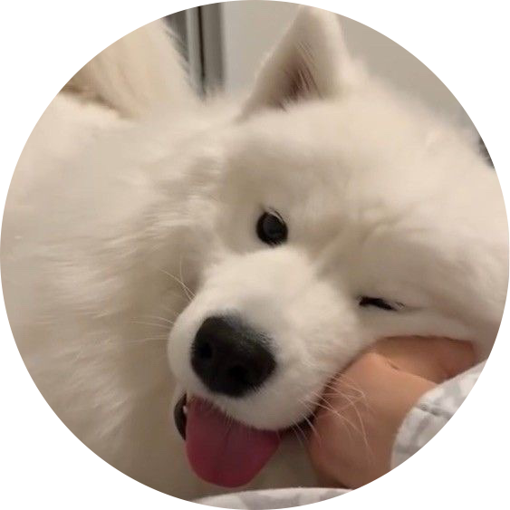quueenn 프로필