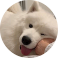 quueenn