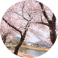 소킥