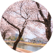 소킥
