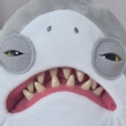 배고픈꿀꿀e