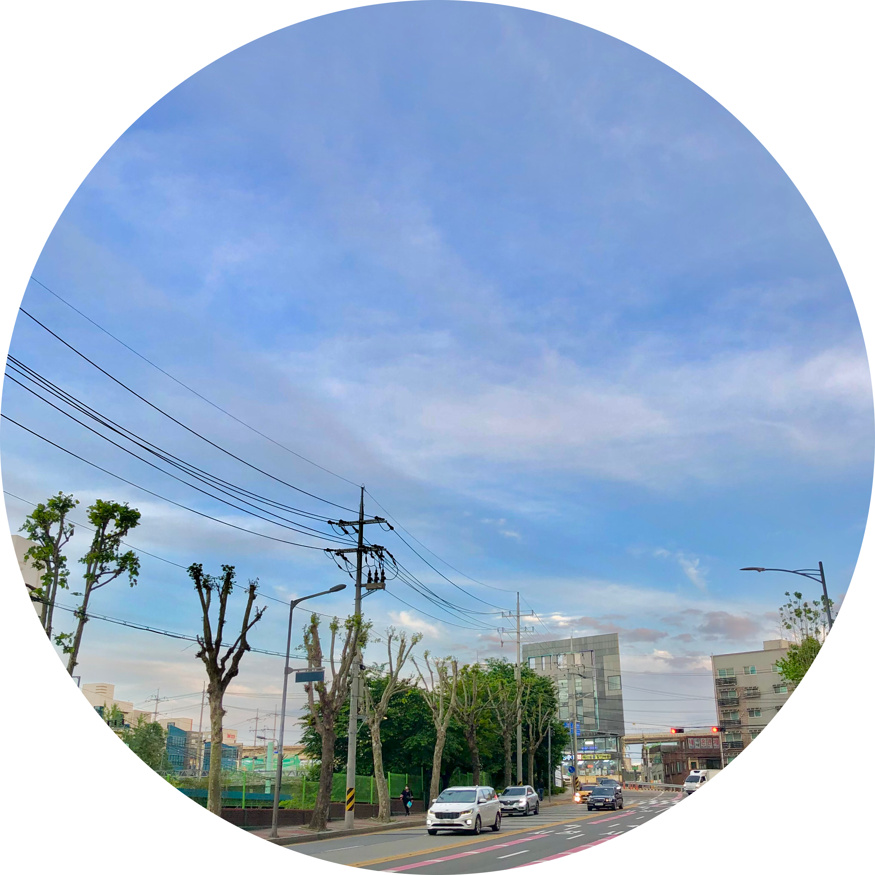 이성연이쁘니 프로필