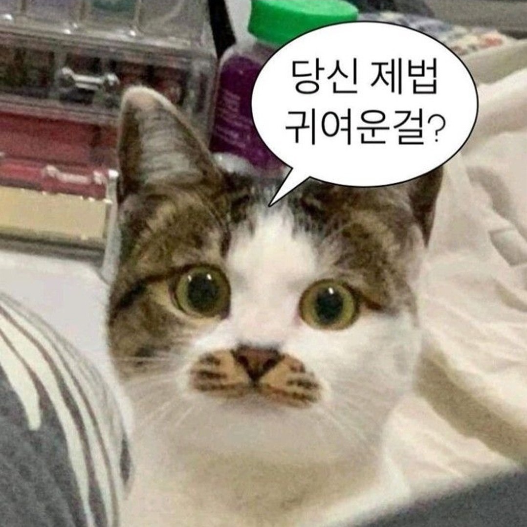 yyyyyyy_7 프로필