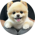 이가장