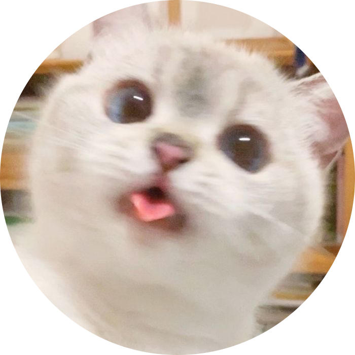 죠르딩 프로필
