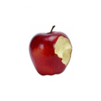 ZIZI