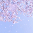 정뽀글이