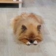 글픽쏭이
