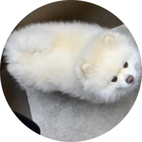Zzzzz 프로필