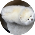 Zzzzz
