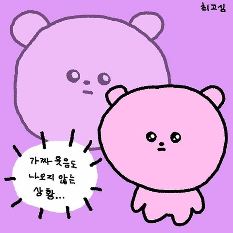 헤코드 프로필