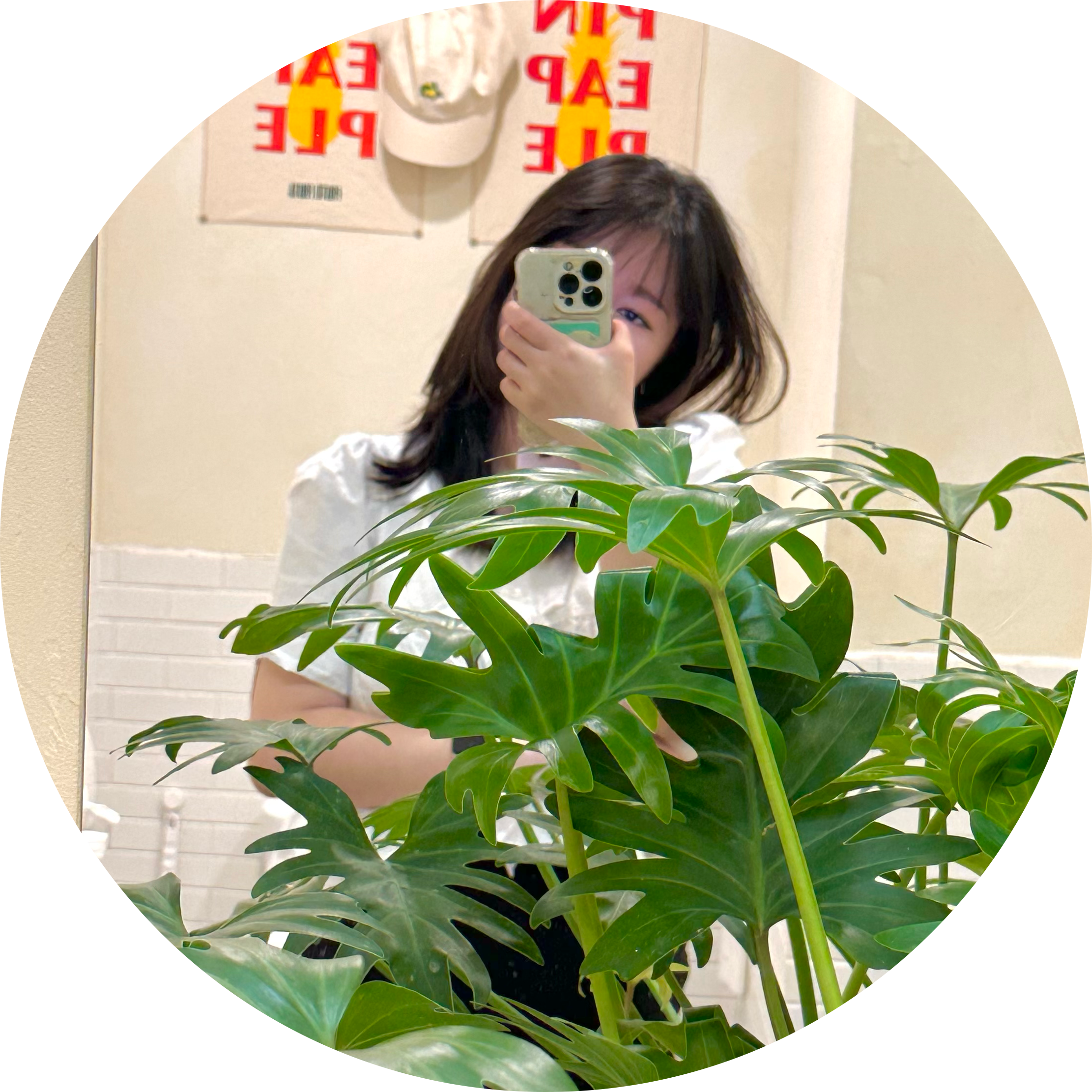 밤툘 프로필