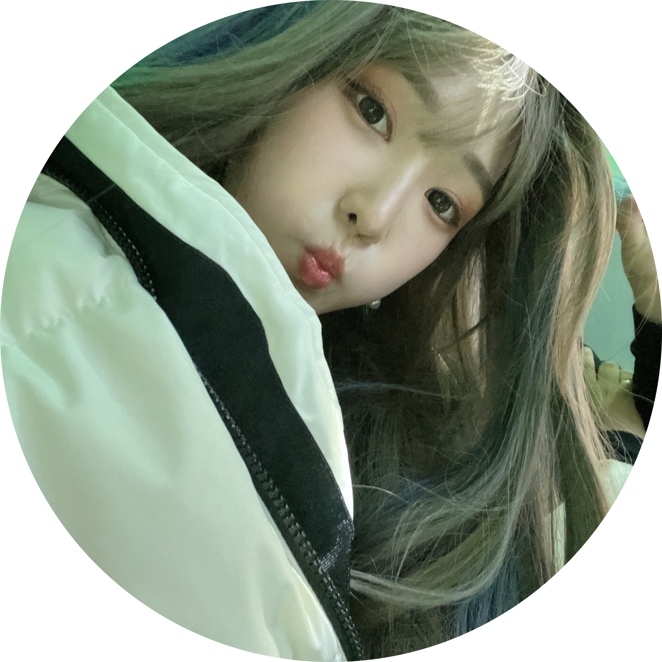송히몬 프로필