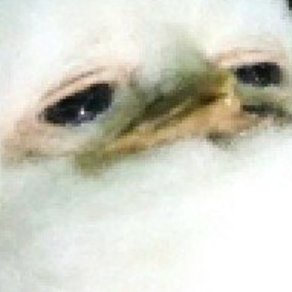 화장ing 프로필