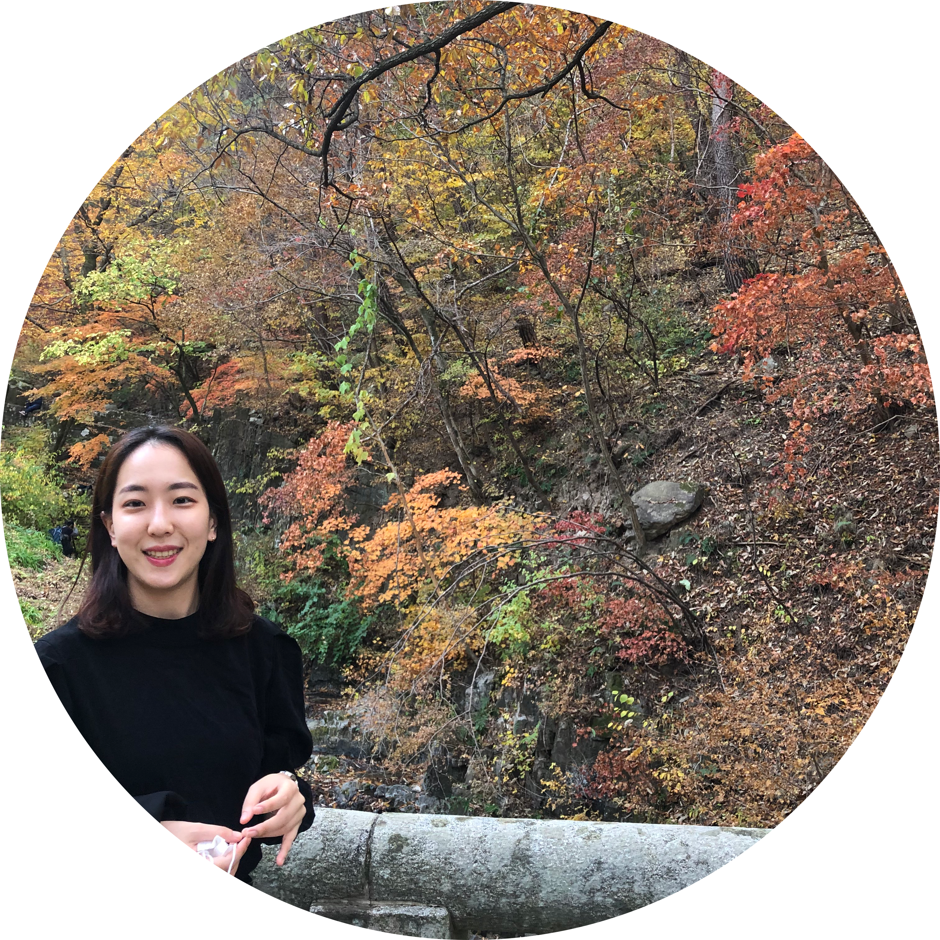 yedidi 프로필