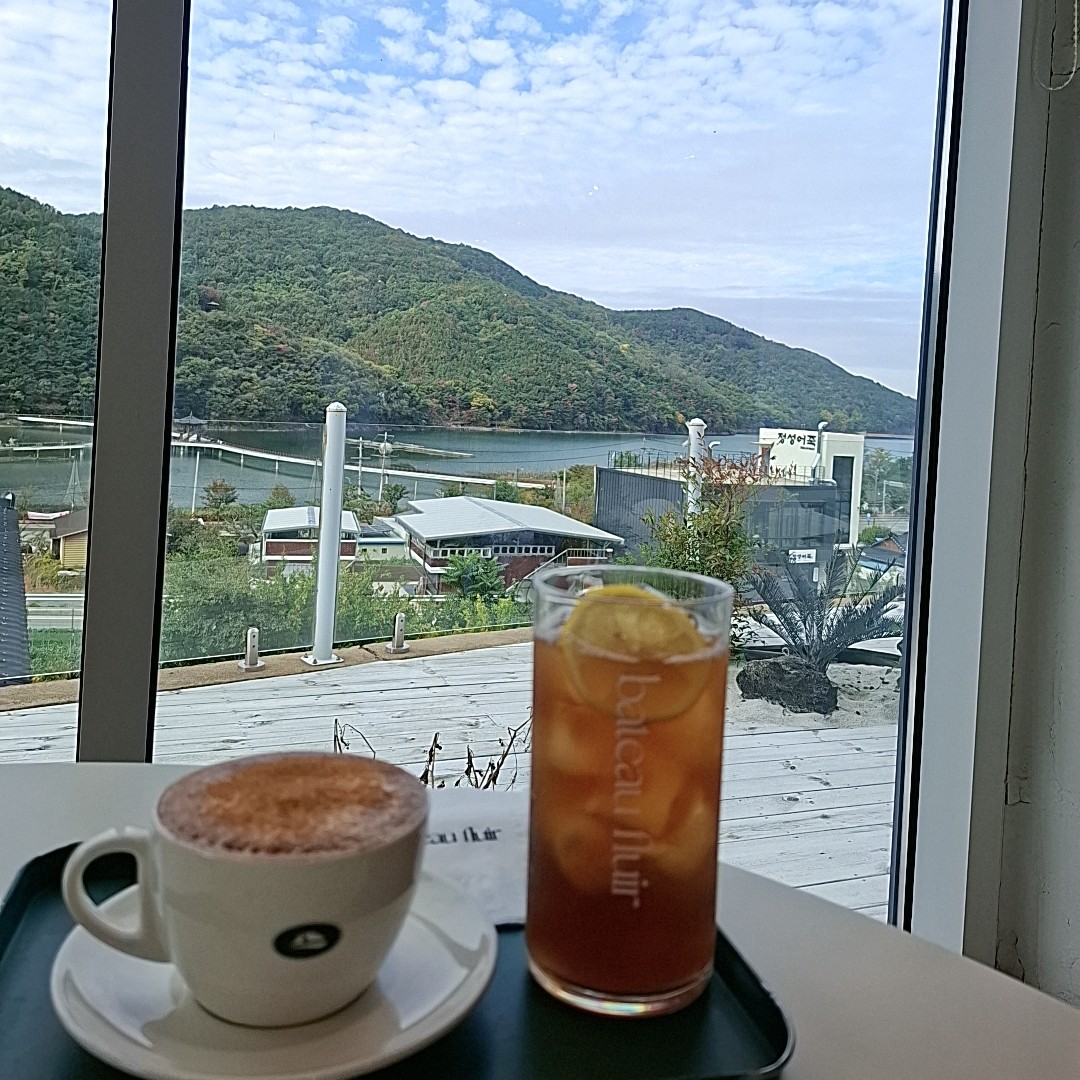 빛이되자 프로필