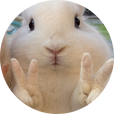 왕버니