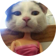 덩아에오
