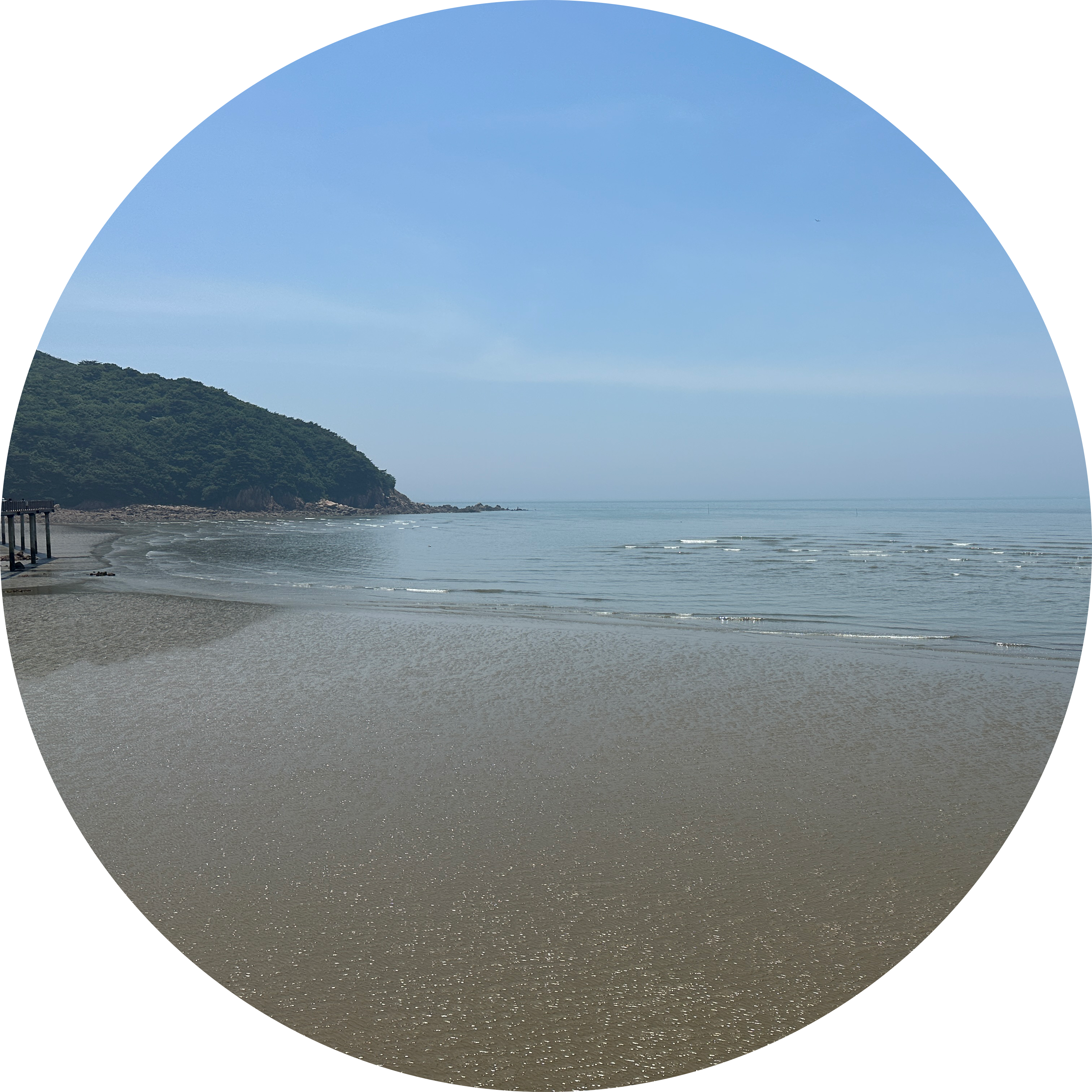 리뷰어 프로필