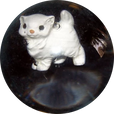 하이챠