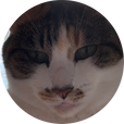 냄넴