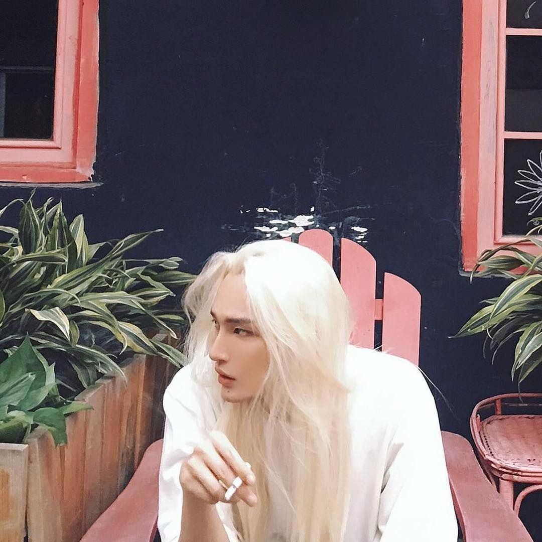 taro 프로필