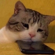 뿌묷