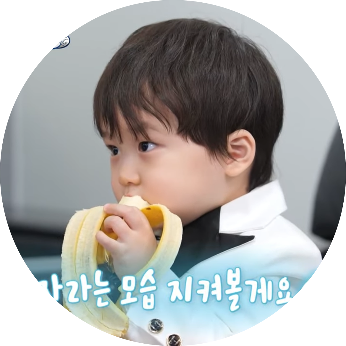하루의하루 프로필
