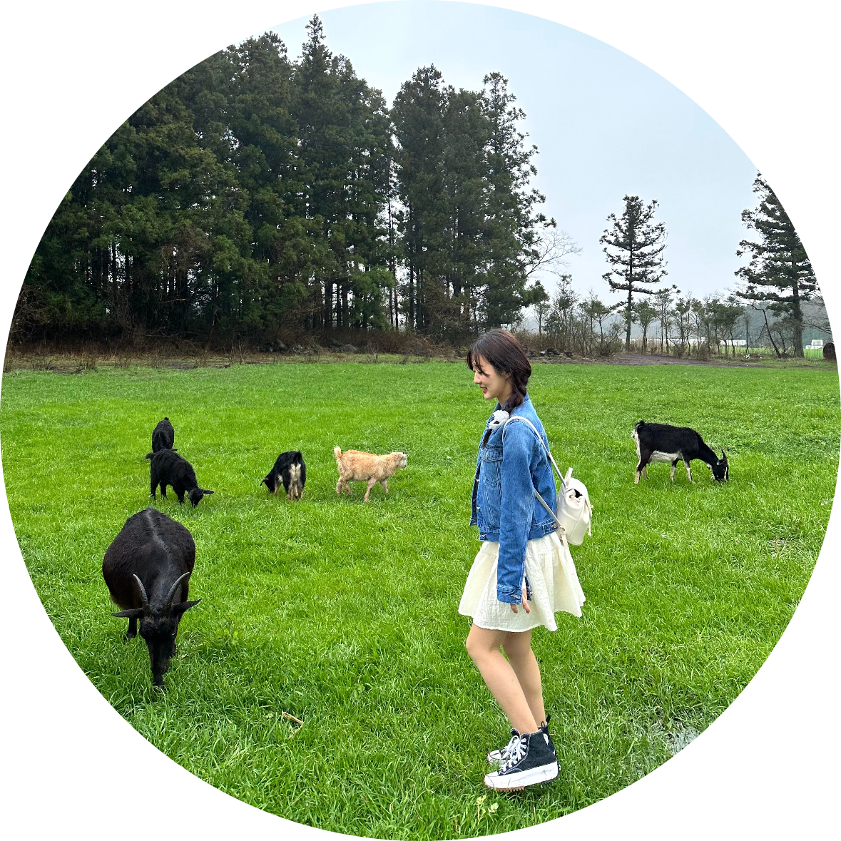 베리댕댕쑤 프로필
