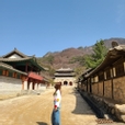 ippoon217