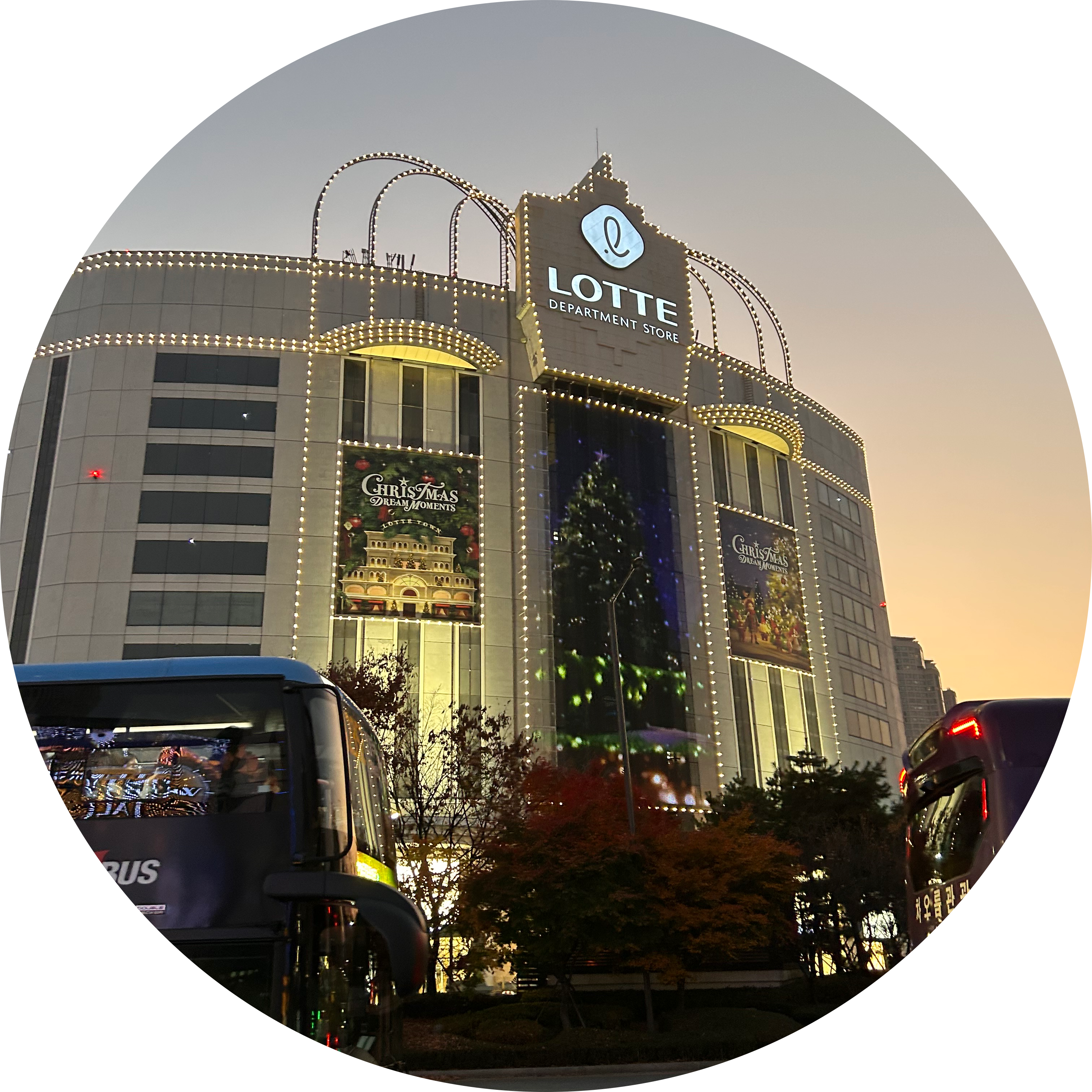 뿌잉천사 프로필