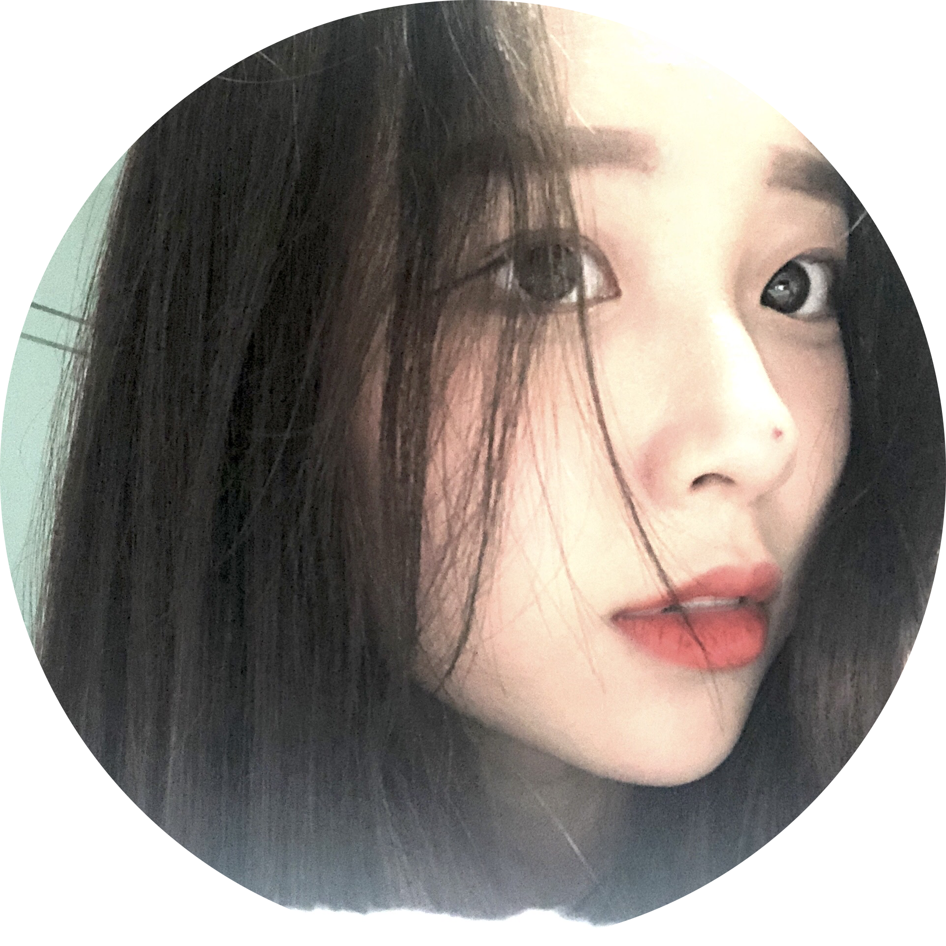 송댕이 프로필