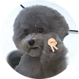 코덕은바로나