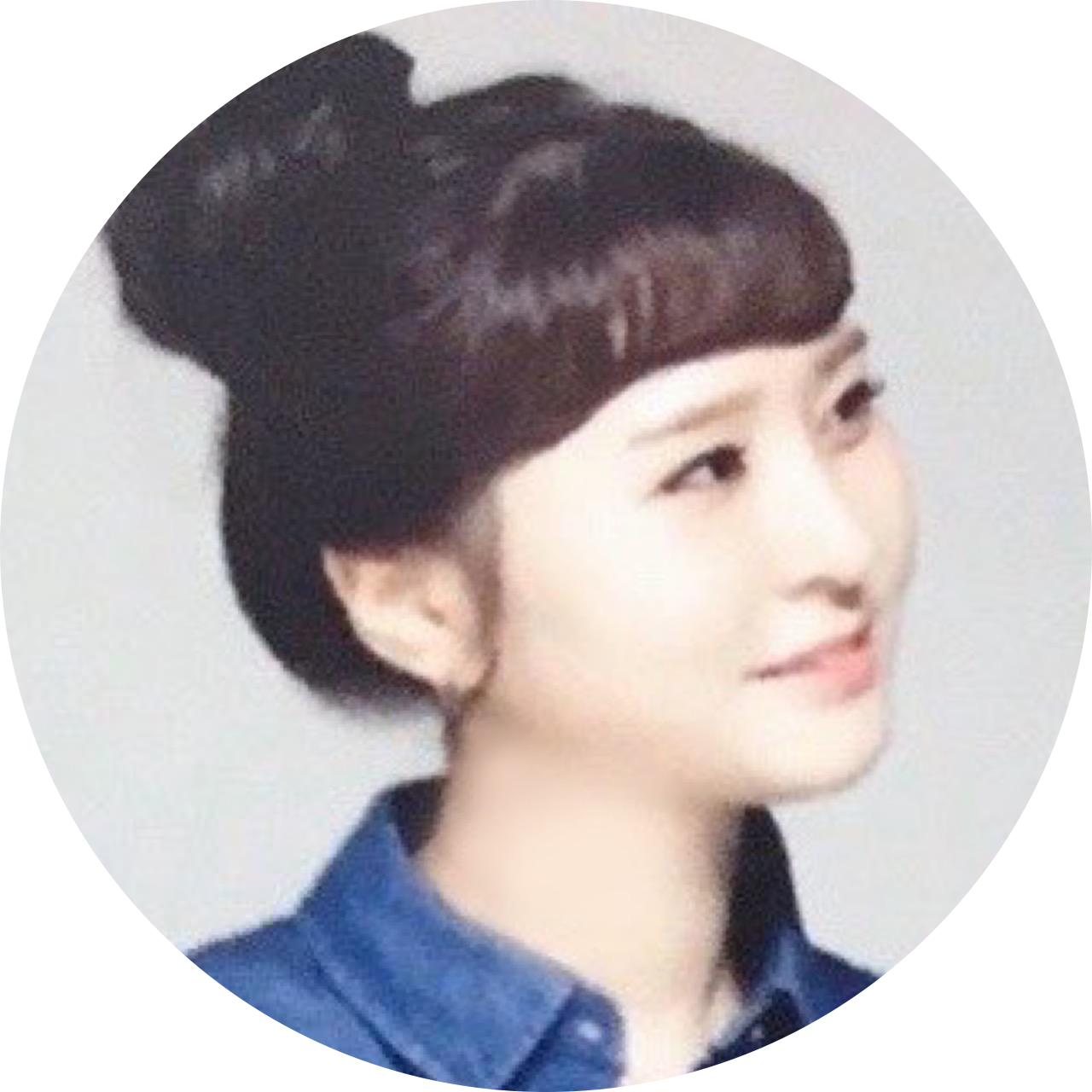 딕시 프로필