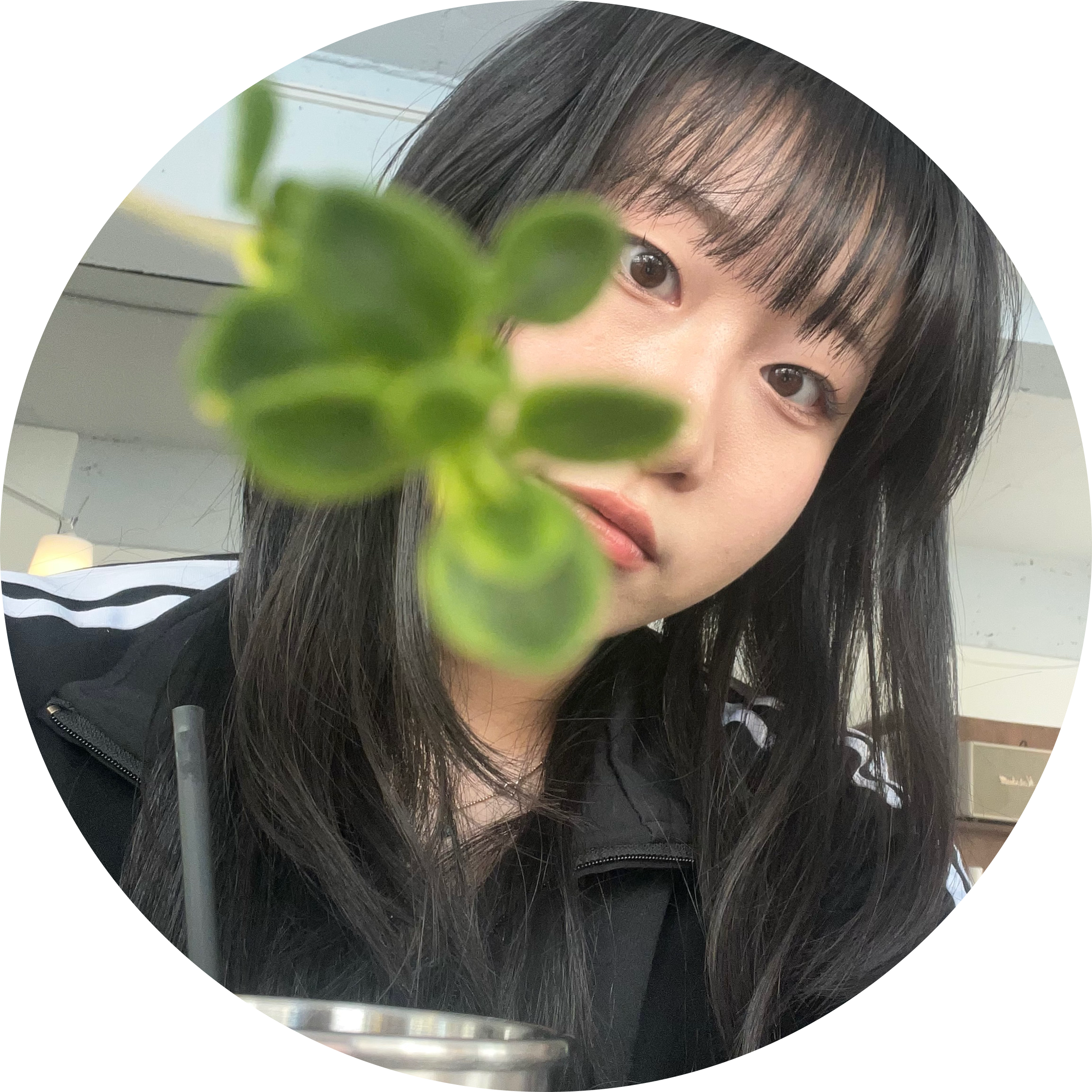갬희mk 프로필