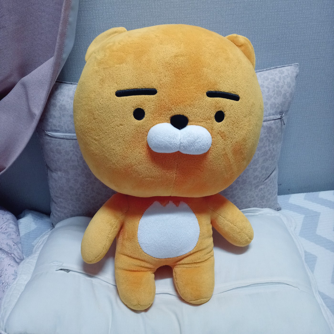여쿨라서치러 프로필