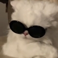 ㅣ금금ㅣ