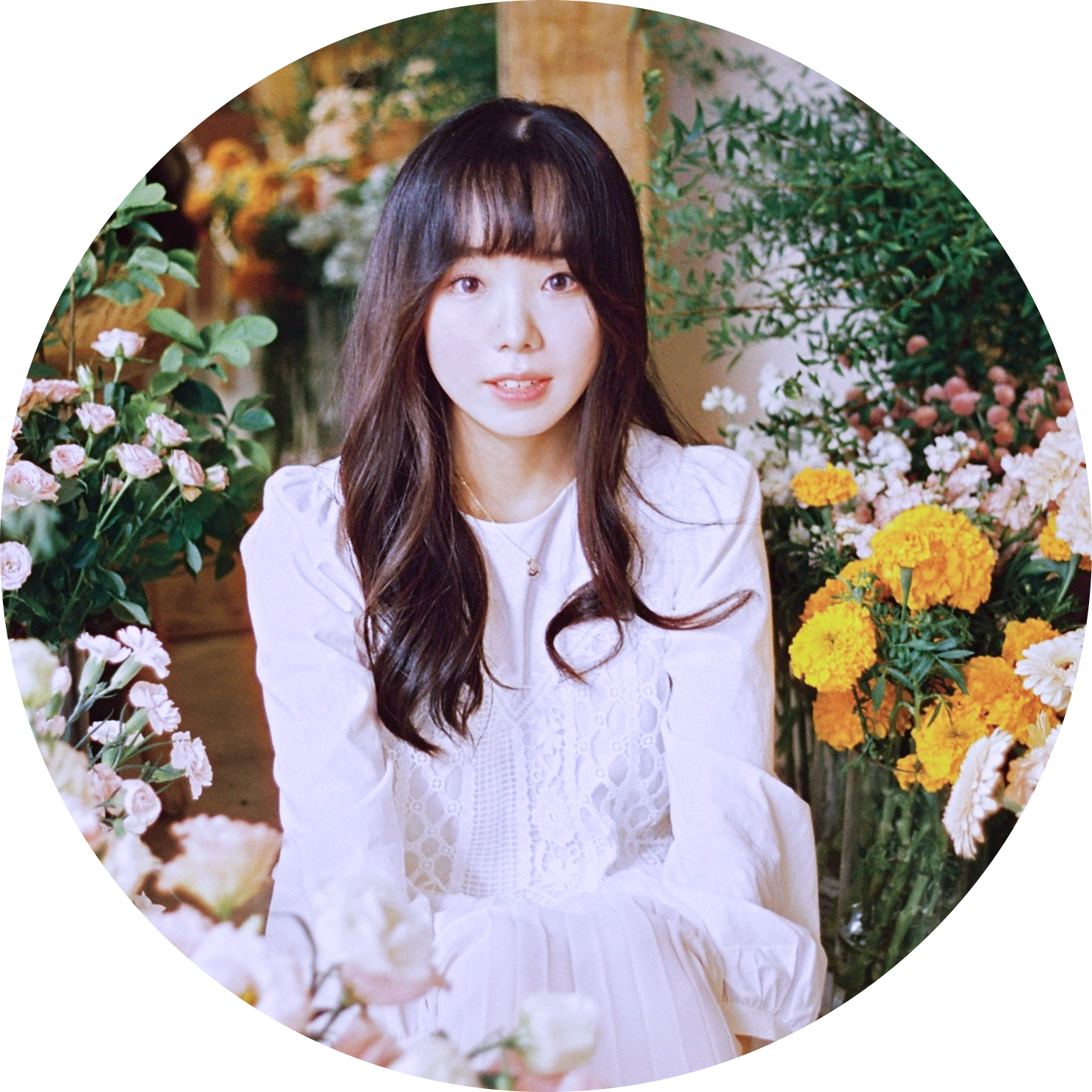 livvibe 프로필